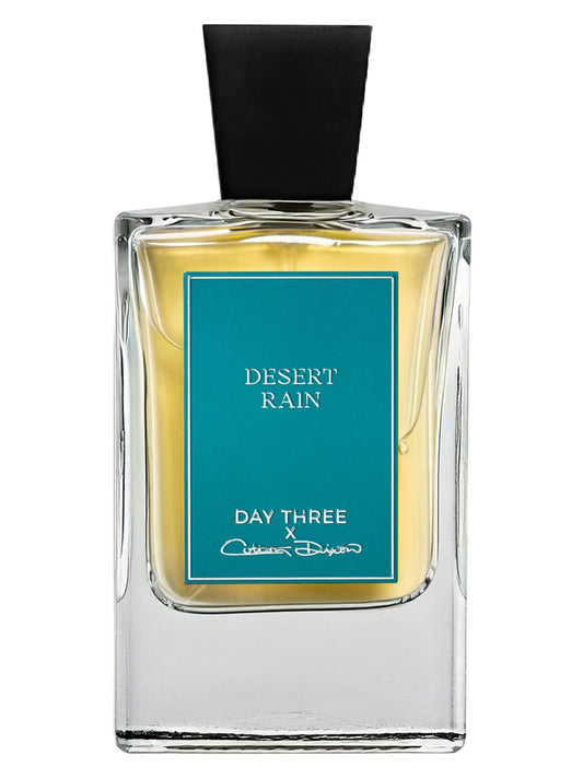 Day Three - Desert Rain