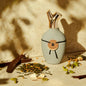 Scents of Wood - Calm in Cedar