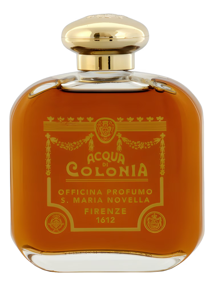 Santa Maria Novella - Opoponax
