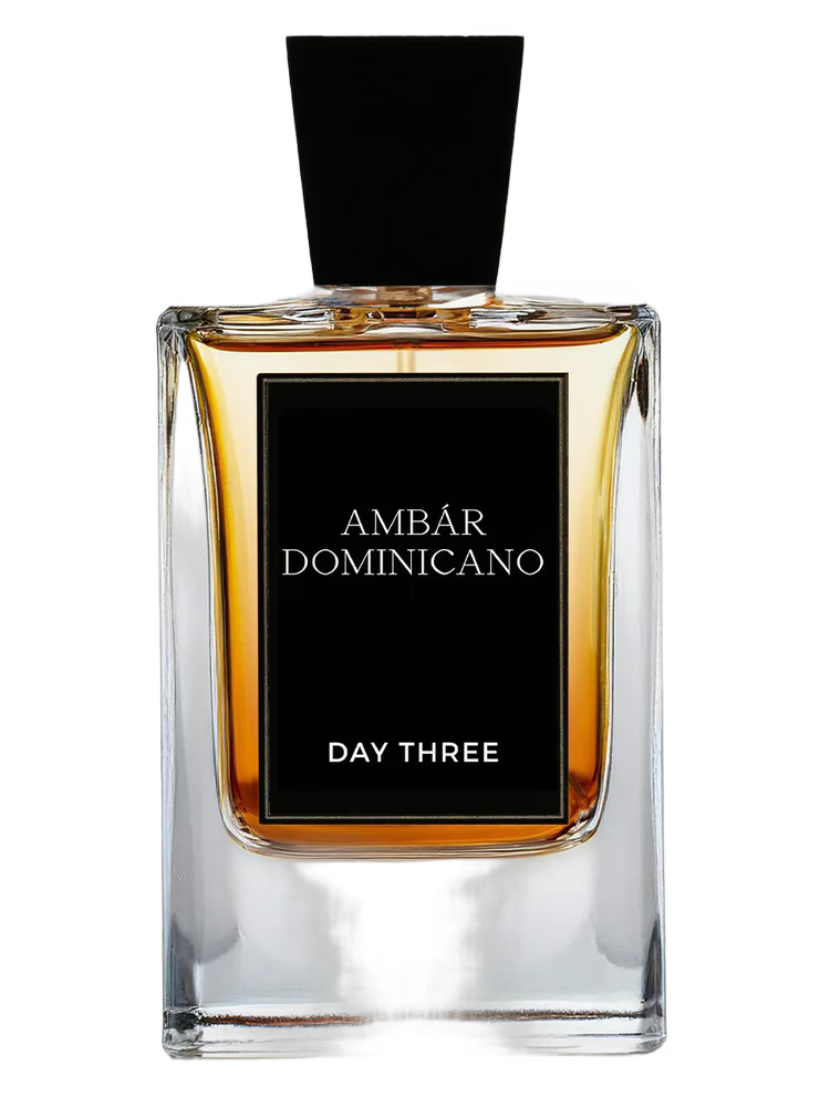 Day Three - Ambar Dominicano