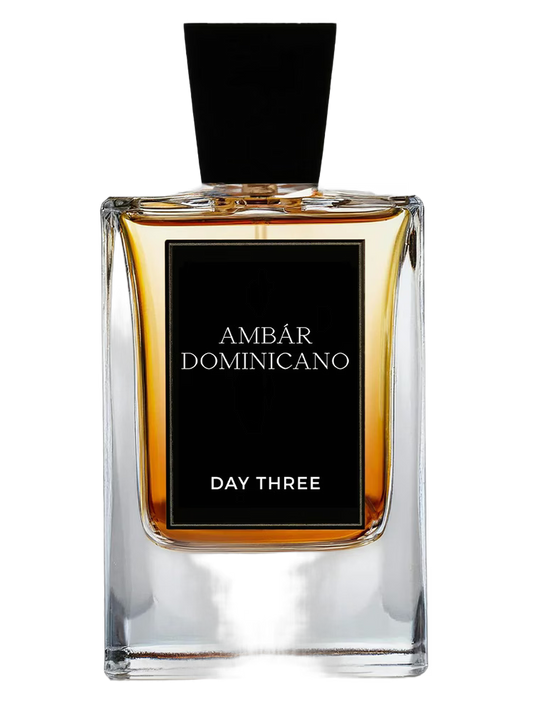 Day Three - Ambar Dominicano