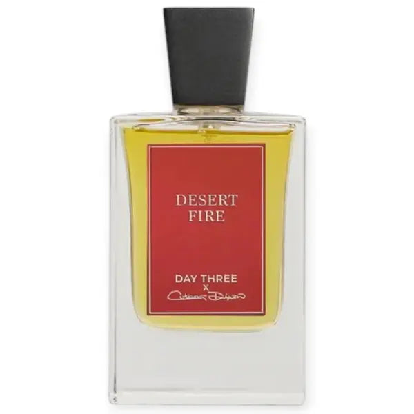 Day Three – Desert Fire