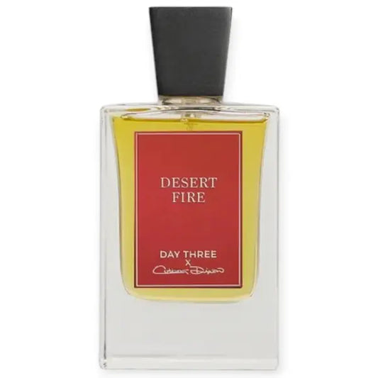 Day Three – Desert Fire